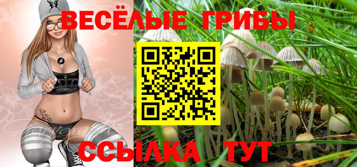 Серпухов  Галлюциногенные грибы Magic Shrooms  Псилоцибиновые грибы Magic Shrooms  Вход с VPN 